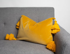 Velvet Pillows
