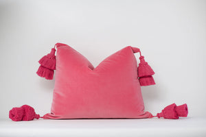 Bubblegum Pink Tassel Pillow