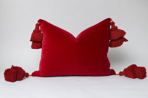 Christmas Red Tassel Pillow