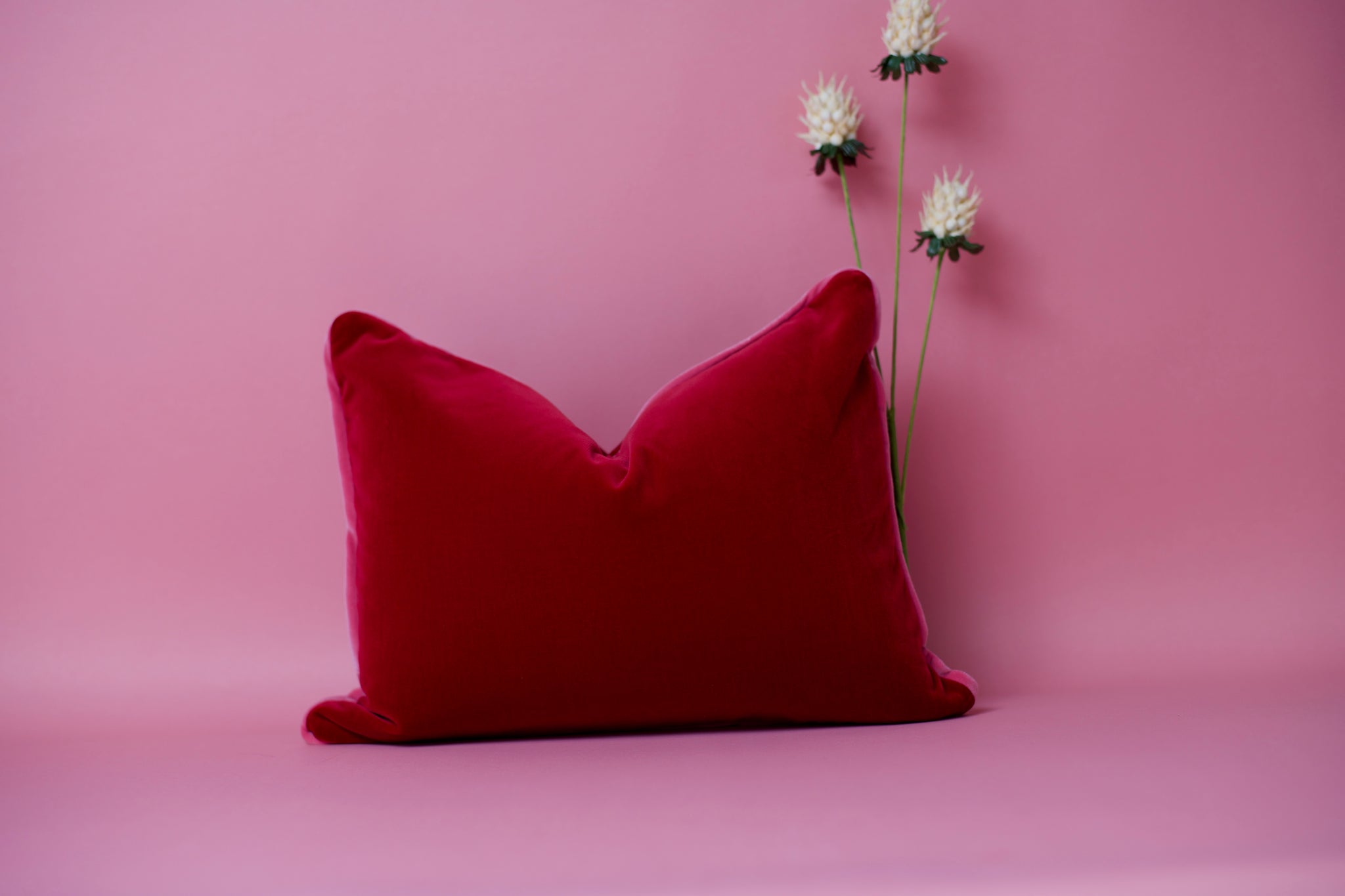 Red Velvet Pillow with Pink Piping – Dust Sugar