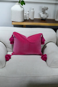Hot  Pink Velvet Pillow with Oversized Tassels
