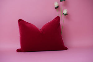 Red Velvet Pillow with Pink Piping
