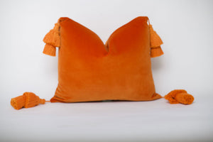 Terracotta Orange Pillow with Tassels