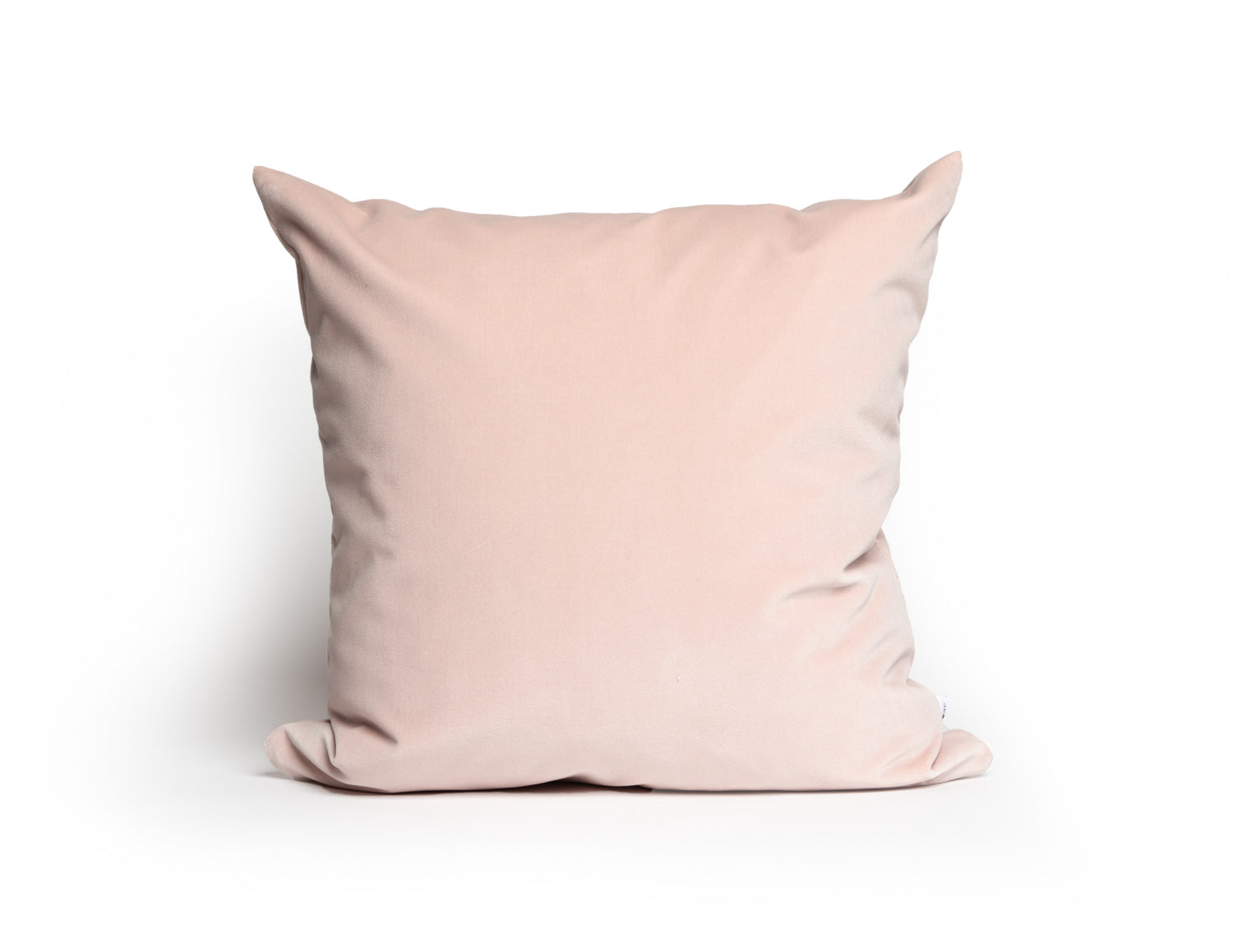 Modern Contemporary dusty punk Velvet Pillow Cover