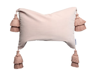 Dusty Punk Pillows With Handmade Tassels